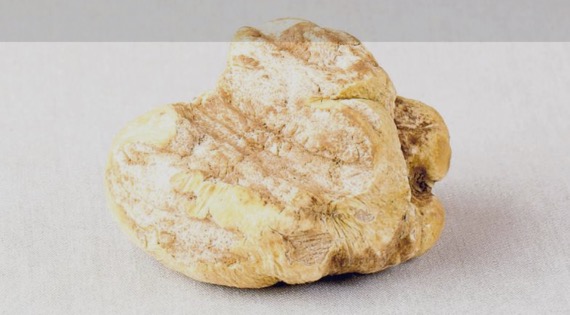 Il senso di Lila per il tartufo